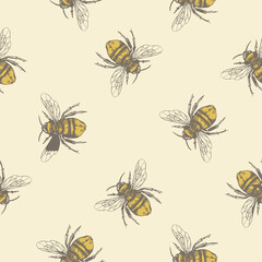 Vector seamless pattern with honey bees. Engraving style. Botanical illustration