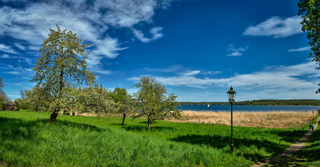 Fototapeta na wymiar Blick vom Lenné-Park in Petzow auf den Schwielowsee (Panorama aus 5 Einzelbildern)