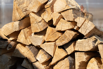 Preparation Of Firewood For Winter In Forest Close Up.