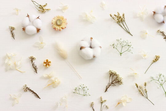 Top view image of flowers composition on white wooden background .Flat lay