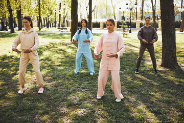 Naklejka na ściany i meble Qigong learning female group having a training in park