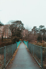 metal blue bridge in the park on autumn