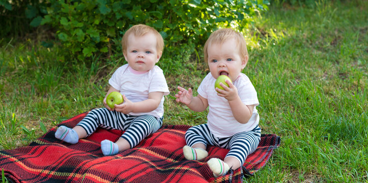 Twin Girls In The City Park Sitting On Blanket Eating Apples.