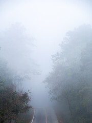 Fototapeta na wymiar Hill Road in The Day of Fog
