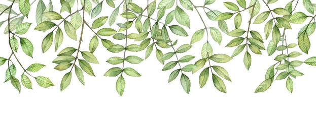 Long seamless banner with green leaves. Watercolor botany