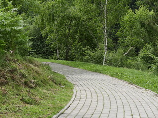 path in the garden