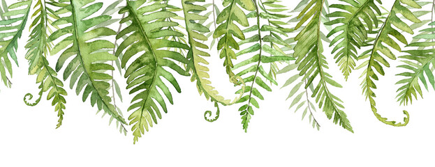 Naklejka na ściany i meble Long seamless banner with fern tropical leaves. Watercolor botany