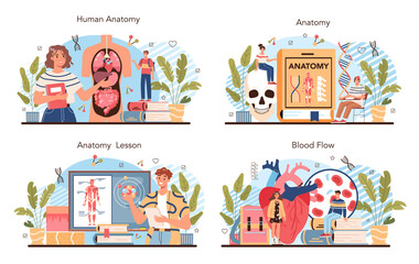 Anatomy school subject set. Internal human organ studying. Anatomy