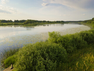 Drone view of the beautiful landscape of the lake, fields, trees on a sunny evening before sunset