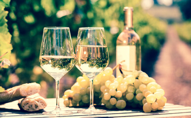 glass of White wine ripe grapes and bread on table in vineyard