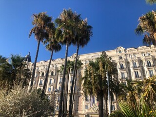 Bâtiment chic de la Côte d'Azur et ses palmiers
