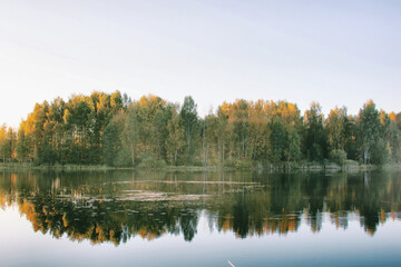 autumn in the forest