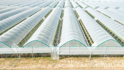 Close up long greenhouses covered with transparent film for planting vegetables