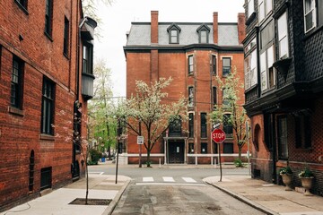Brick residential buildings in Philadelphia, Pennsylvania