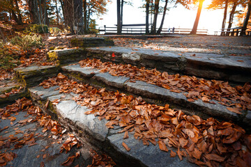 trail in the autumn forest