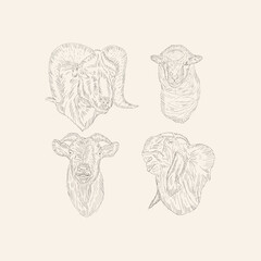 sheep head hand drawing sketch illustration