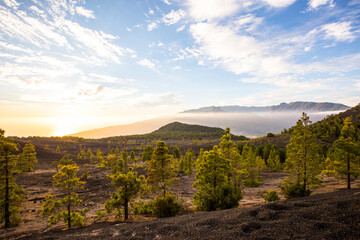 Obraz premium Spring sunset in Llano del Jable, La Palma Island, Canary Islands, Spain