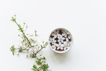 A cup of coffee or tea on a white background with blooming cherry branches. Flat lay, top view