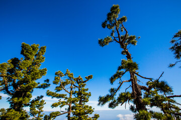 Sunrise in Roque De Los Muchachos in La Palma Island, Canary Islands, Spain