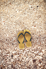 Flip-flops on a rocky ocean beach.