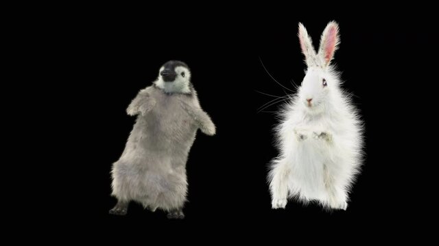 penguin and Rabbit Dancing, CG fur, 3d rendering, animal realistic CGI VFX, composition 3d mapping, cartoon, Included in the end of the clip with Alpha matte.