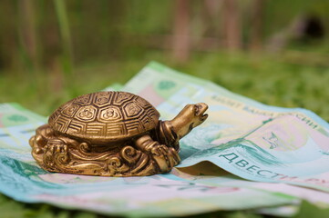 A metal turtle figurine on a banknote. A financial symbol.