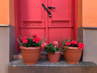 Pots with red flowers on the porch of the orange house at the coral door