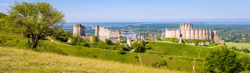 Fototapeta na wymiar Ruins of Château-Gaillard medieval fortified castle in Normandy, France