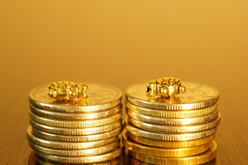 Two metal turtles with coins on a gold background.