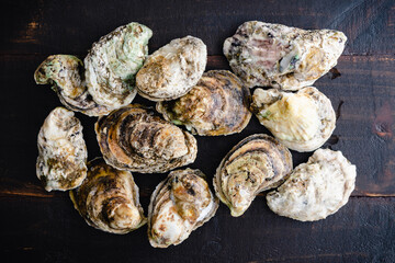 Raw Atlantic Oysters on a Wood Table: A dozen whole oysters on a wooden background