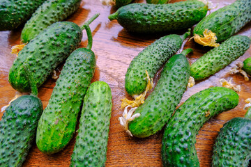 Fresh cucumbers with yellow flowers on the wooden table close-up. Top view. Organic vegetables. Natural food