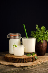 Dairy starter culture for the preparation of fermented milk products, yogurt, kefir with a copy space on a wooden cut