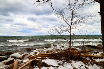 Nature landscape with dramatic sky and clouds, lake with ice, shore with snow and dark trees in...