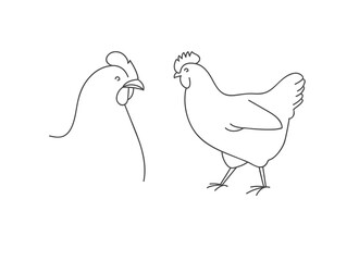Vector linear illustration farm animal - chicken isolated in white background.