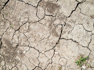 Dried up earth