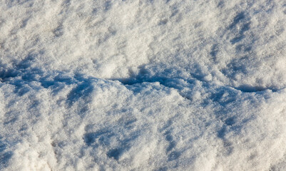 snow photo, close up - Snow surface after snowfall in the winter season. Close-up with shallow depth of field.