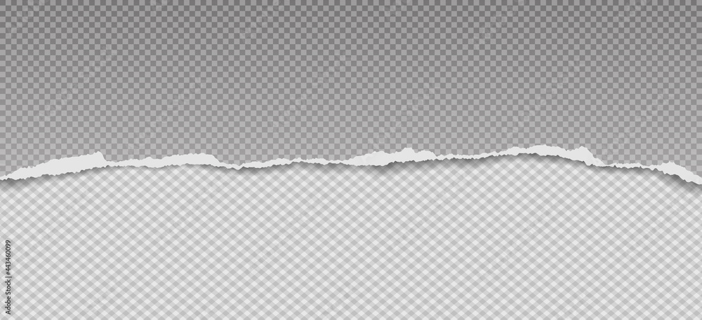 Poster torn, ripped horizontal squared and grey paper strips with soft shadow are on white background for t