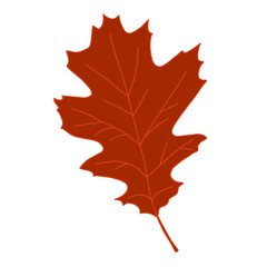 Bright orange brown artistic oak tree leaf vector illustration isolated on white background. Design element for autumn design. Fall graphic clip art