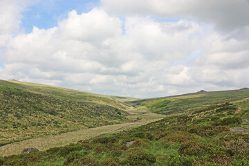 Fototapeta na wymiar West Dart River Valley in Dartmoor, Devon 