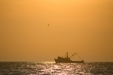 Fototapeta premium boat at sunset