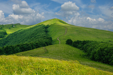 Fototapeta na wymiar Beautiful green mountain range in the Carpathians Ukraine