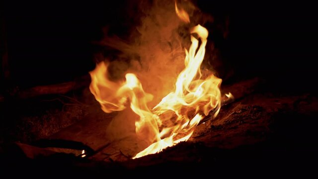 Night Bright Bonfire Burns in Forest. Hot tongues of flame, fire rise upward with smoke. Dry Firewood, branches burn and smolder in an open fire in pit. Camping. Tourism summer. 4K. Slow-motion.