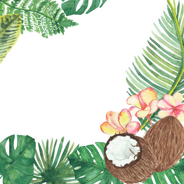 Watercolor hand painted nature tropical frame with green palm leaves, pink plumeria flowers and brown coconut composition on the white background for summer card design
