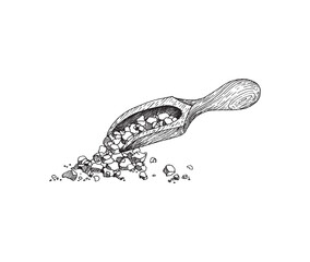 Wooden scoop with pieces sea salt or sugar a vector illustration on a white.