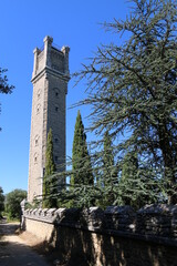 Tour Philippe - Bonnieux - Cèdres - Lavandes
