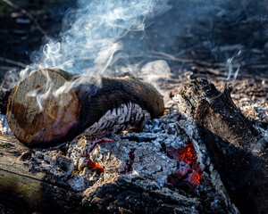Campfire burning out, with no flames, just ashes, heat and firewood.