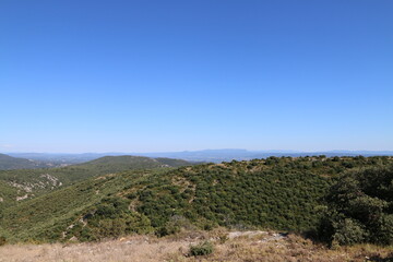 Tour Philippe - Bonnieux - Cèdres - Lavandes