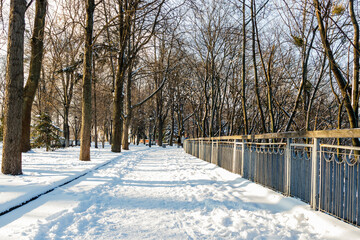 Empty benches covered with snow in winter park