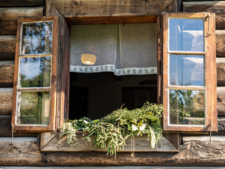 An open window with white curtain, shutters, and drying bunches of herbs, in a traditional, wooden house, on sunny summer day, in an open-air museum The Opole Village, Poland
