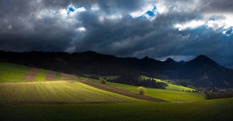 Słoneczne Wiosenne  Pieniny  © Wojciech Lisiński